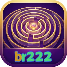 br222